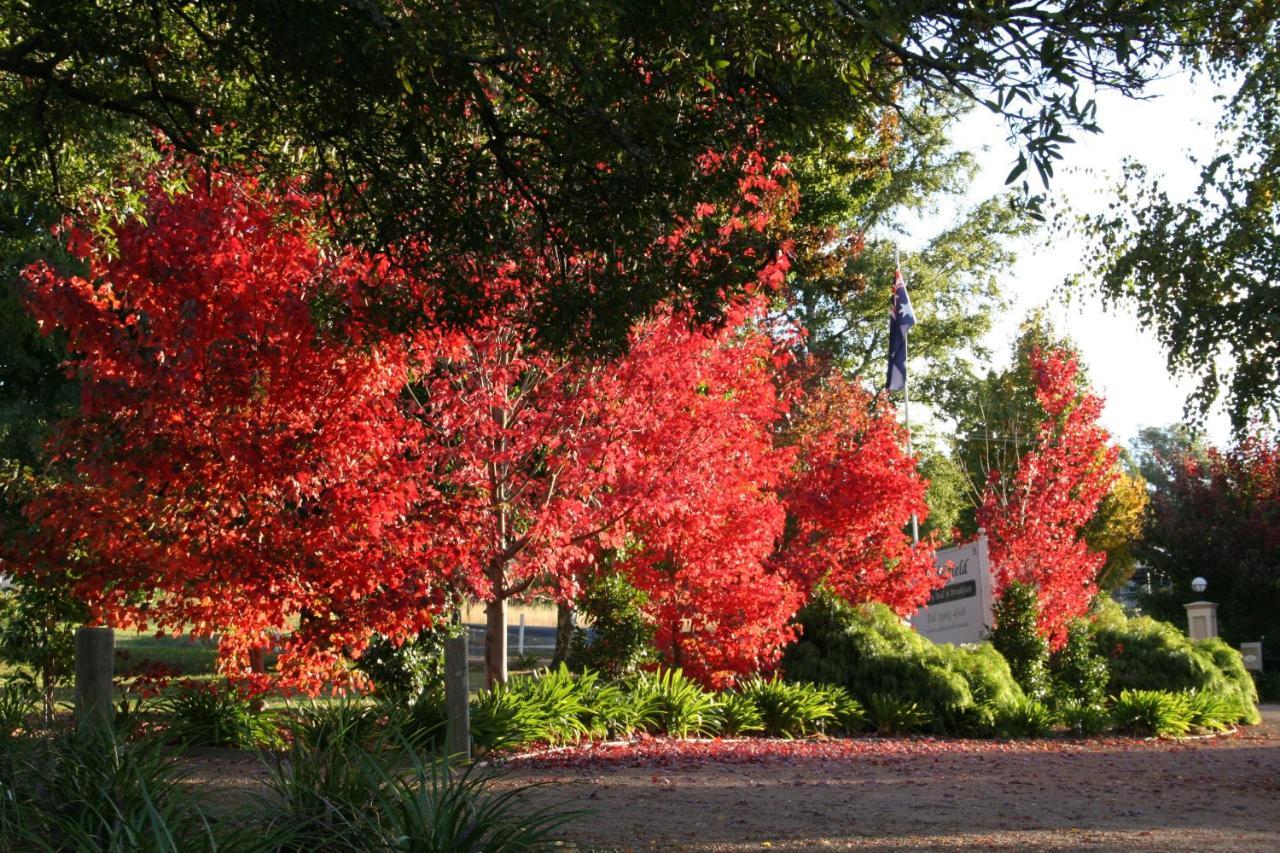 Delderfield Villas Marysville Dış mekan fotoğraf