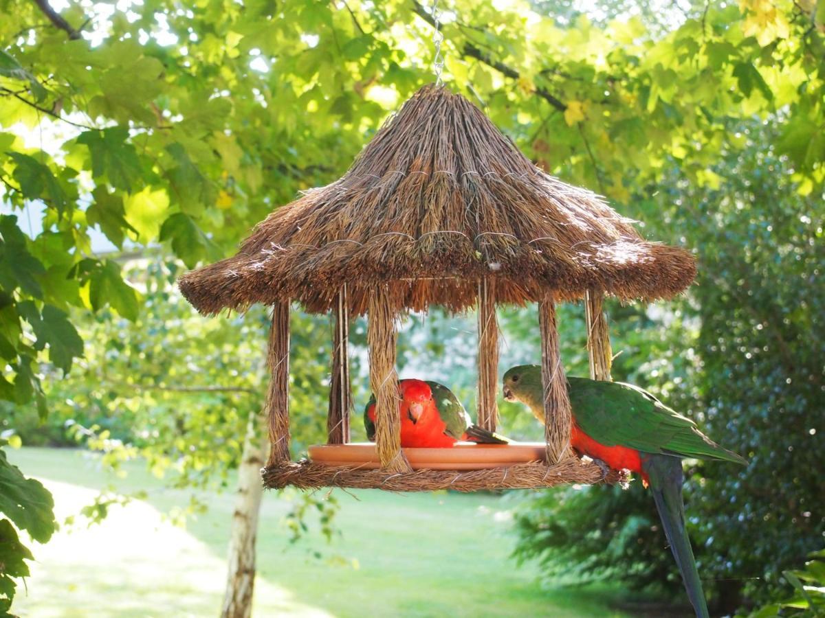 Delderfield Villas Marysville Dış mekan fotoğraf