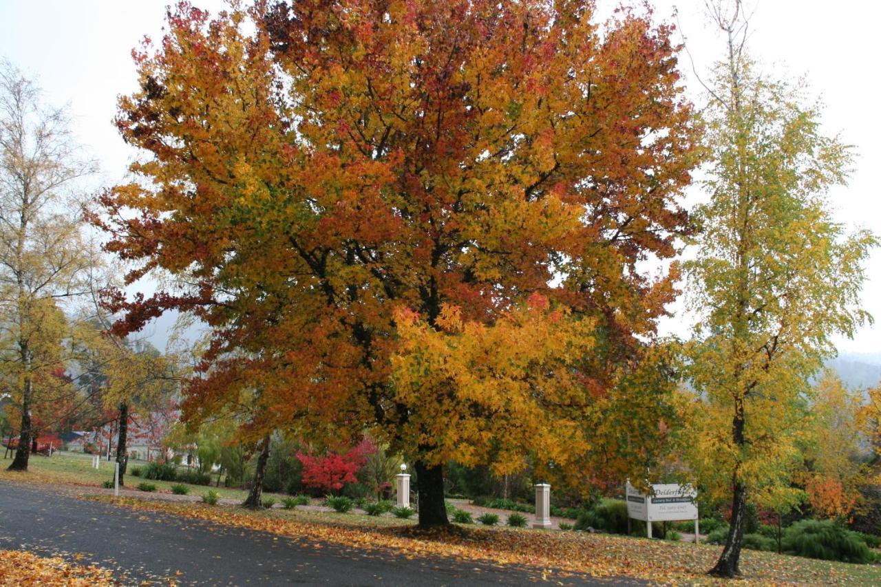Delderfield Villas Marysville Dış mekan fotoğraf